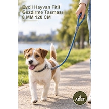 4 Adet Evcil Hayvan Fitil Gezdirme Tasması 8 Mm 120 Cm Metal