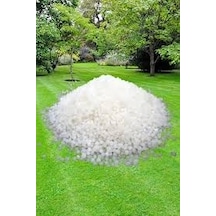 Amonyum Sulfat Şeker Gübresi-5 Kg