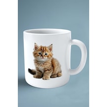 Cymric Kedisi Kedi İsimli Kişiye Özel Baskılı Kupa Bardak Model 8 Çok Renkli