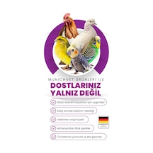 4'lü Kanatlı Set 500 Ml Caradox Kursak Mantarı Alfamin Neftor Hırıltı Farmatom Vitamin
