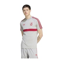 Gretwo Adidas Liverpool Erkek Futbol T-shirt Kg2903 Gri