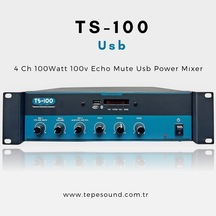 TS-100 TEPESOUND