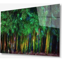 Doğa Cam Tablo 4mm Dayanıklı Temperli Cam167
