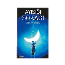 Ayışığı Sokağı - Kyut-763525