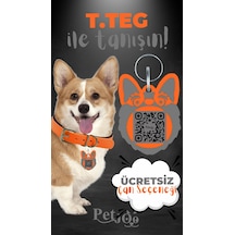 Petjoo 15.T.Teg Gri-Turuncu Qr'lı Köpek Künyesi
