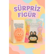 Labubu Kutulu Peluş Anahtarlık - 16cm Kutulu Labubu Peluş Sürpriz Model