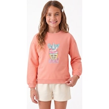 Onloox Kız Çocuk Somon Kız Çocuk Somon Pamuklu Bisiklet Yaka Tam Kalıp Unicorn Baskılı Arkası Düğmeli Sweatshirt 3 Yaş