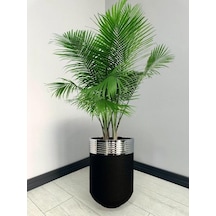Elegant Dekoratif Krom Darbuka Siyah Saksı 60cm
