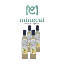 Ananas Sirkesi 4x500 Ml %100 Katkısız Doğal Şekersiz Koruyucu Içermez