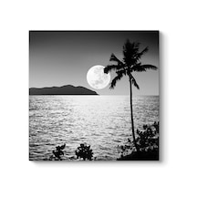 Yakamoz Tablosu 40 X 40 -