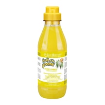 Tr Ginger Elderberry Shampoo Kedi Ve Köpek Kaşıntıya Karşı Zencefil Mürver Şampuanı 500 Ml