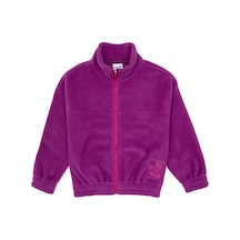 U.s. Polo Assn. Kız Çocuk Menekşe Hırka Örme 50318001-vr037 Menekse U.s. Polo Assn. Kız Çocuk Menekşe Hırka Örme 50318001-vr037 Menekse