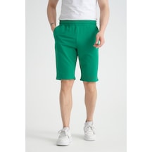 Mint Yeşili