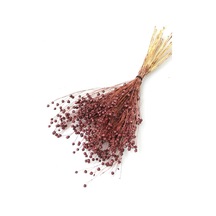 Kuru Çiçek Luna Keten Otu 60 Gr Kahverengi