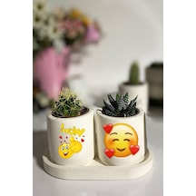 Tabaklı Wow Baskılı Mini Saksı Seti Hediyelik Dekoratif Tabaklı Wow Baskılı Mini Saksı Seti Hediyelik Dekoratif