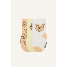 Defacto Disney Winnie The Pooh Desenli Dikişsiz 3lü Pamuklu Çorap Kız Bebek I1660a5nskr1 Çok Renkli-kr1