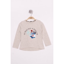 Toontoy Kids Toontoy Kız Çocuk Pullu Güllü Nakışlı T-shirt Bej