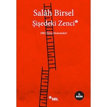 Şişedeki Zenci: 1001 Gece Denemeleri
