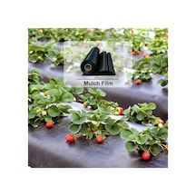 Hbv000012cuyq Çilek Mulch 130cm -
