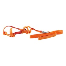 Euro Dog Köpek Uzatma Tasması+göğüs Tasması 25mm 120cm Turuncu