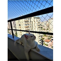 2 X 2 Metre Kedi Koruma Filesi Balkon Filesi 2 Mm Kedi Güvenlik Filesi Bebek Güvenlk Filesi -