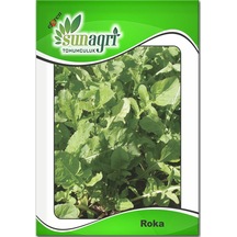 Roka Tohumu 6 Paket