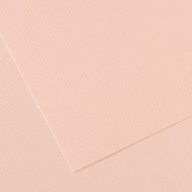 Canson Fon Kartonu Dokulu Mı-teıntes 25 Li 50x65 160 Gr 103 Dawn Pınk 200321314 Çok Renkli