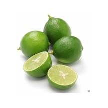 3 Yaş Aşılı Dikensiz Mexican Lime Fidanı. Torbada