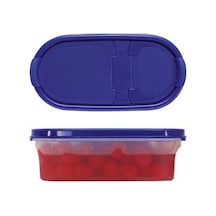 Tupperware Oval Kuru Gıda Saklama Kabı Oval 500 Ml Çok Renkli