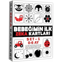 2199 Eğitici Kartlar 0-6 Ay Zeka Kartları
