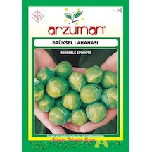 Arzuman Sebze Brüksel Lahana Tohumu