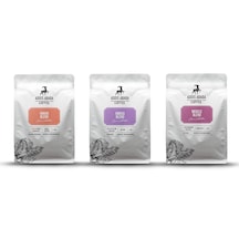 Etiyopya 3'lü Kahve Deneme Seti 3x250 Gr. 750 Gr. Sert Bitter- Dengeli - Çiçeksi Moka Pot