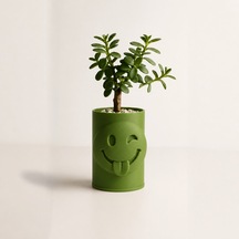 3d Baskı Emoji Planter - Göz Kırpan Yüzlü Sukulent Saksısı-yeşil Çok Renkli