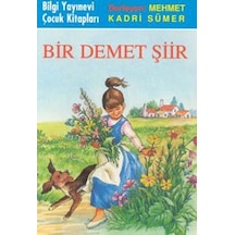 Bİr Demet Şiir - Mehmet Kadri Sümer - Bilgi Yayınevi