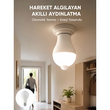 Çok Renkli