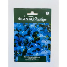 Genta Prestige Mavi Kardinal Çiçeği Tohumu