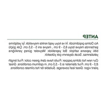 Yerli Dolma Biber Tohumu, 100 Adet