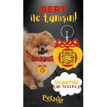 Petjoo 13.Bert Sarı-Kırmızı Qr'lı Köpek Künyesi