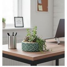 Dekoratif beton saksı sukulent arajman çiçek saksısı Çap:18cm(Bitkiler Hariç)