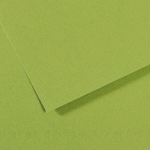 Canson Fon Kartonu Dokulu Mı-teıntes Sh Canmt 50x65 160 Gr Grn 475