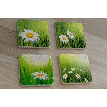 Papatyalar Doğal Taş Bardak Altlığı 4'lü Set - Natural Stone Coasters - Taş Çok Renkli