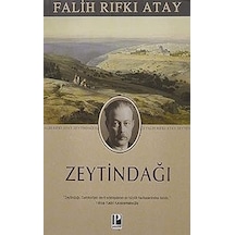 Zeytindağı + Algernon'a Çiçekler + Postayla Gelen Deniz Kabuğu + 9 Kitap Set
