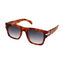 Quantum Q149.c2 53 Unisex Güneş Gözlüğü Kahverengi