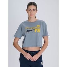 Fenerium Kadın Kolej Fenerbahçe Tshırt Grı