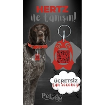 Petjoo 26.Hertz Gri-Kırmızı Qr'lı Köpek Künyesi