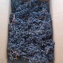 Toptan Doğal Salkım Üzüm Duble 10 Kg 10 KG