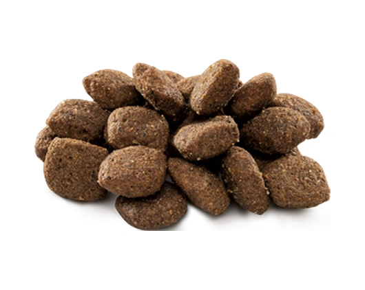 Brit Premium By Nature Hassas Sindirime Sahip Köpekler İçin, Kuzu Etli Kuru Mama 15 Kg