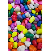 Usmtekno Renkli Çakıl Taşı Fanus Taşı 10 KG