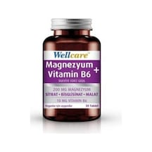 Wellcare Magnezyum Vitamin B6 Takviye Edici Gıda 30 Tablet 869968