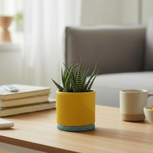 Modern Tasarım Dekoratif Saksı - Pastel Serisi Sarı